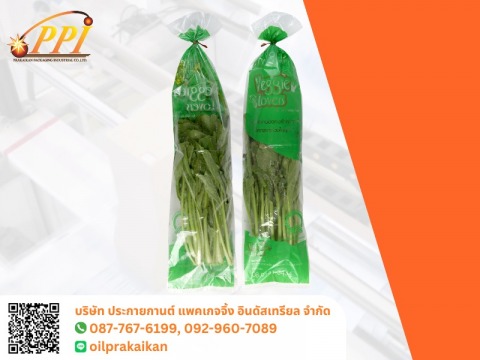 ถุงเย็นสำหรับใส่ผักสวนครัว